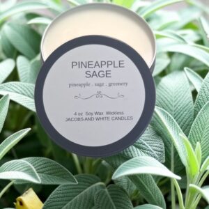 PINEAPPLE SAGE